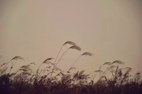 纳兰性德的词有什么（纳兰容若最有名的词欣赏） 第5张