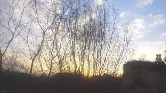 纳兰性德的词有什么（纳兰容若最有名的词欣赏） 第7张