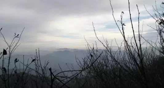 纳兰性德的词有什么（纳兰容若最有名的词欣赏） 第13张
