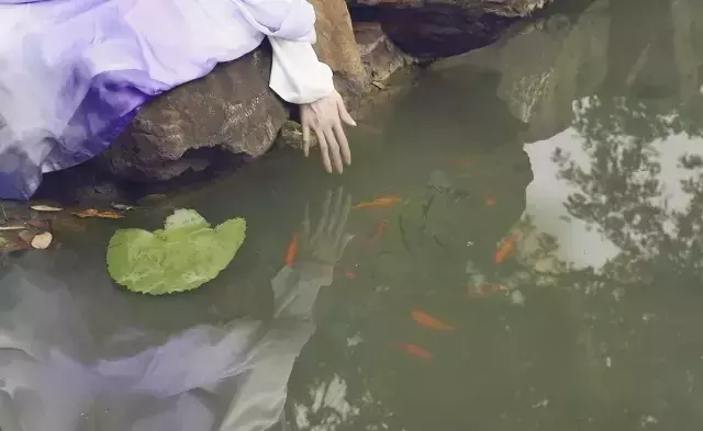 三月三的古诗有哪些（关于三月三的谚语 ） 第17张
