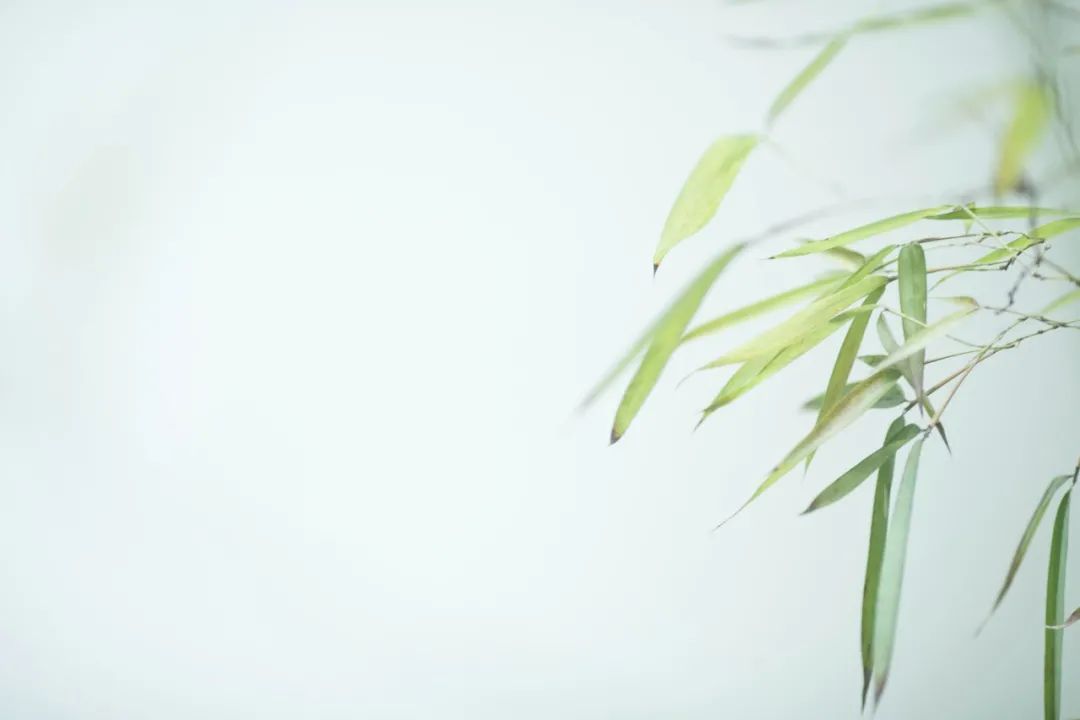 优美的诗歌有哪些（意境唯美的现代诗歌 ） 第15张