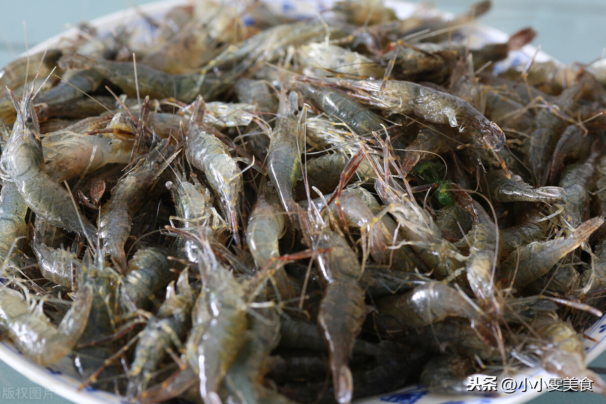 海虾和河虾的区别是什么？记住4点，分清海虾和河虾，别再买错了 第11张