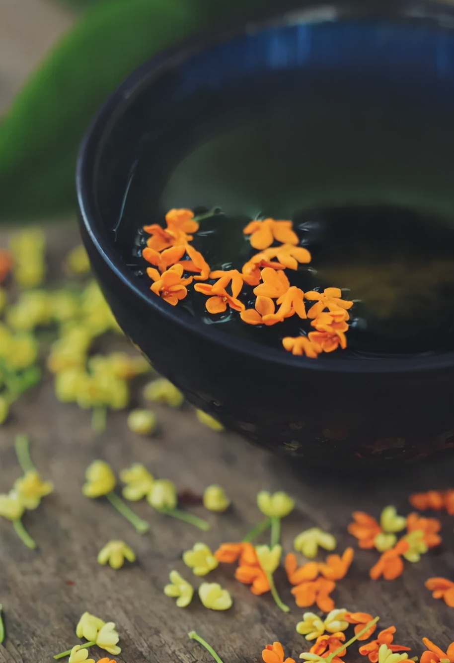 花诗句古诗（关于写花的古诗） 第39张