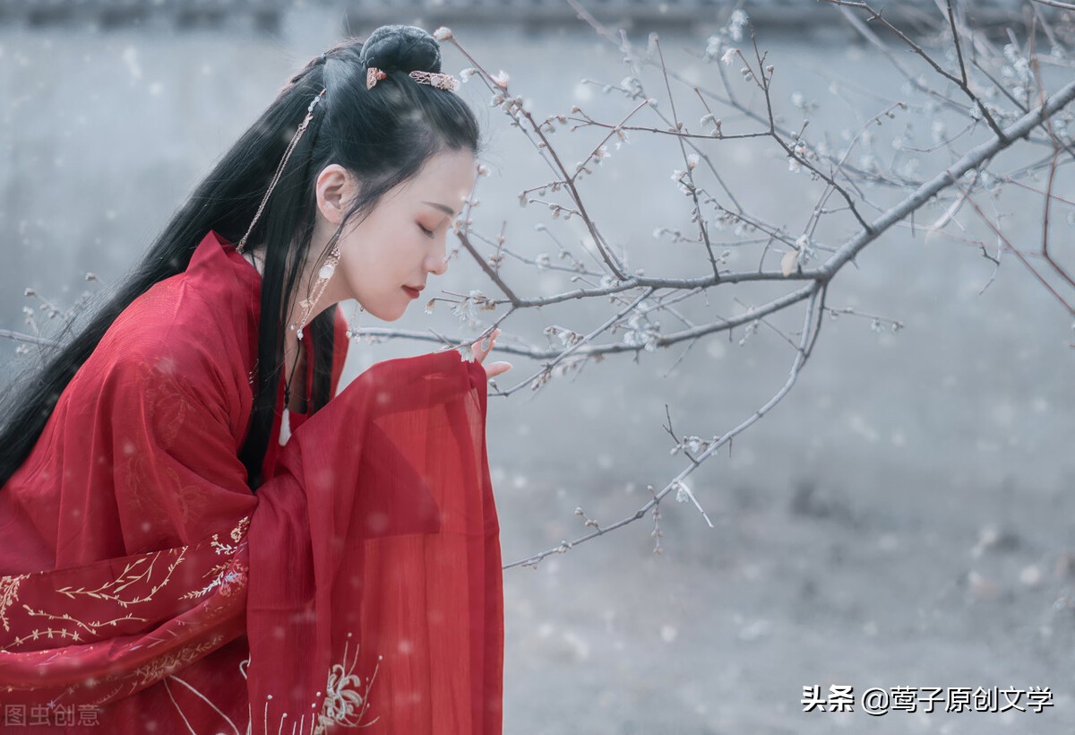 关于雪的古诗有哪些（雪的经典古诗） 第3张