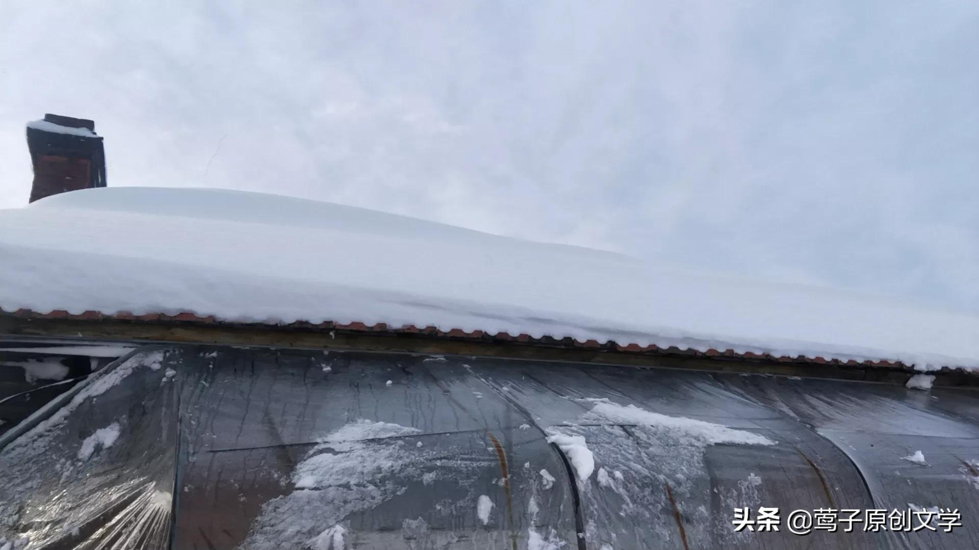 关于雪的古诗有哪些（雪的经典古诗） 第9张