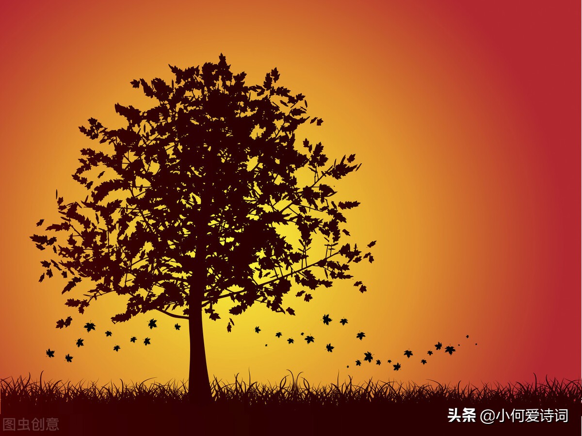 关于秋风的诗句有哪些（描写秋风的诗句古诗） 第5张