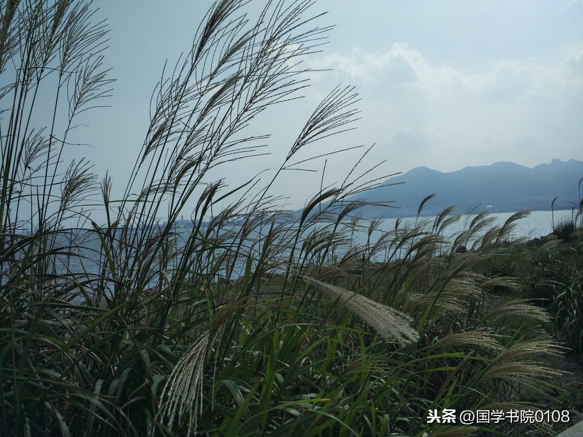描写春天希望的诗句（春天蕴含的人生哲理） 第3张