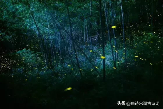 描写星空的古诗有哪些（赞美星空银河的诗句） 第1张