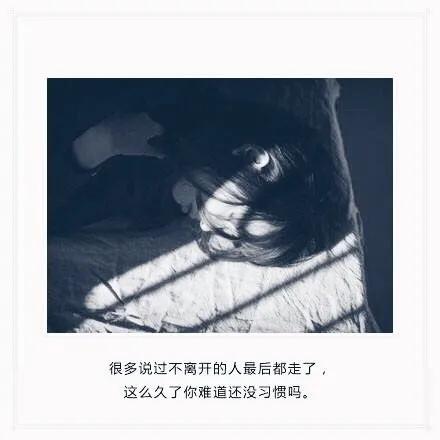 悲情故事有什么（让人哭到崩溃的爱情故事） 第7张