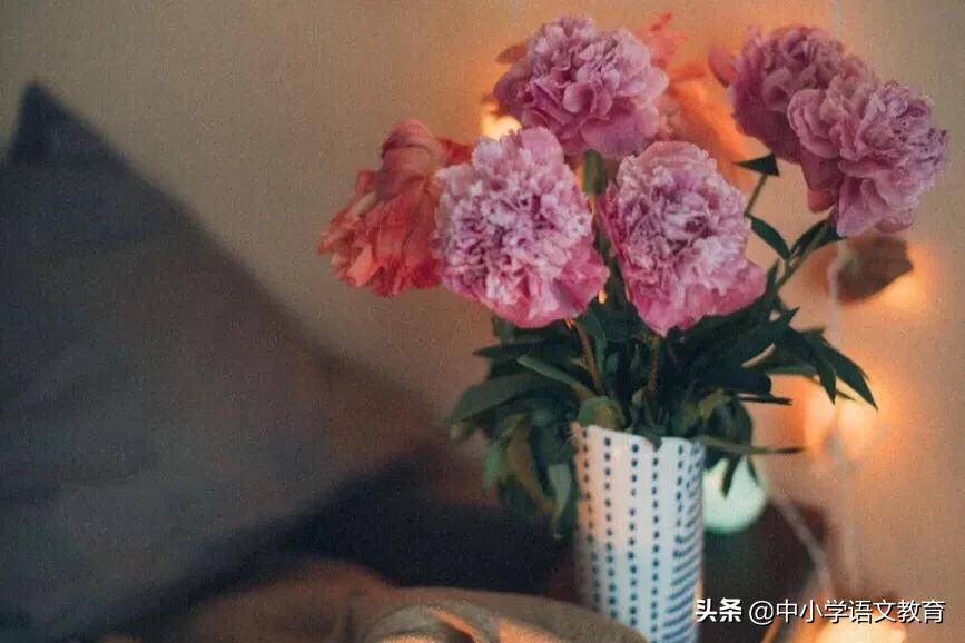 爱莲说译文及原文（爱莲说翻译及原文注释） 第1张