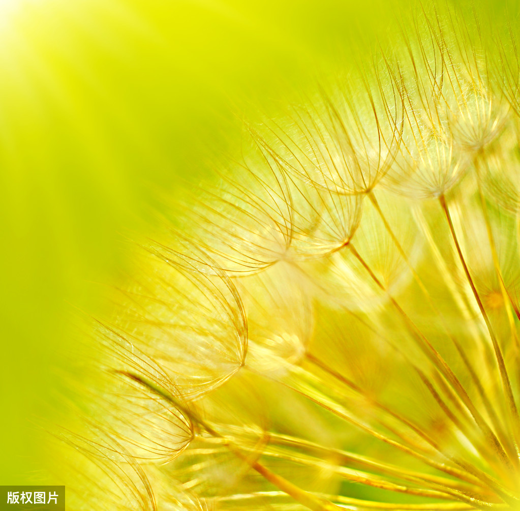 抒情古诗词名句（抒情古诗大全100首） 第5张