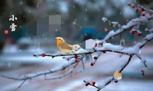 小雪的诗句古诗大全（关于小雪的古诗四句） 第3张