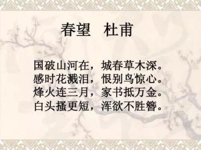 杜甫春望的写作背景（杜甫春望原文及赏析） 第3张