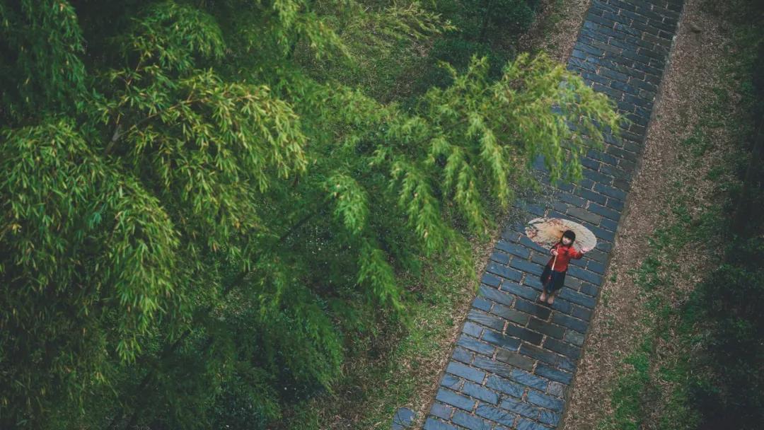 关于雨水的古诗有哪些（关于雨水的古诗四句） 第1张