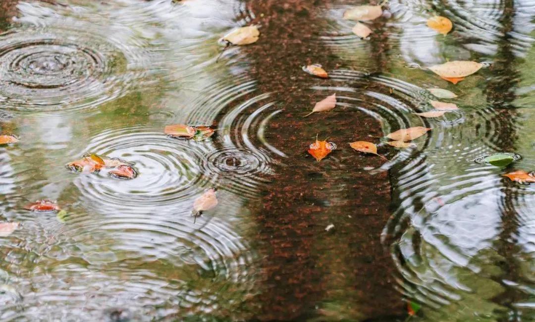 关于雨水的古诗有哪些（关于雨水的古诗四句） 第3张