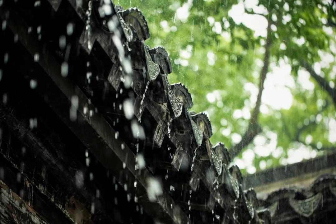 关于雨水的古诗有哪些（关于雨水的古诗四句） 第5张