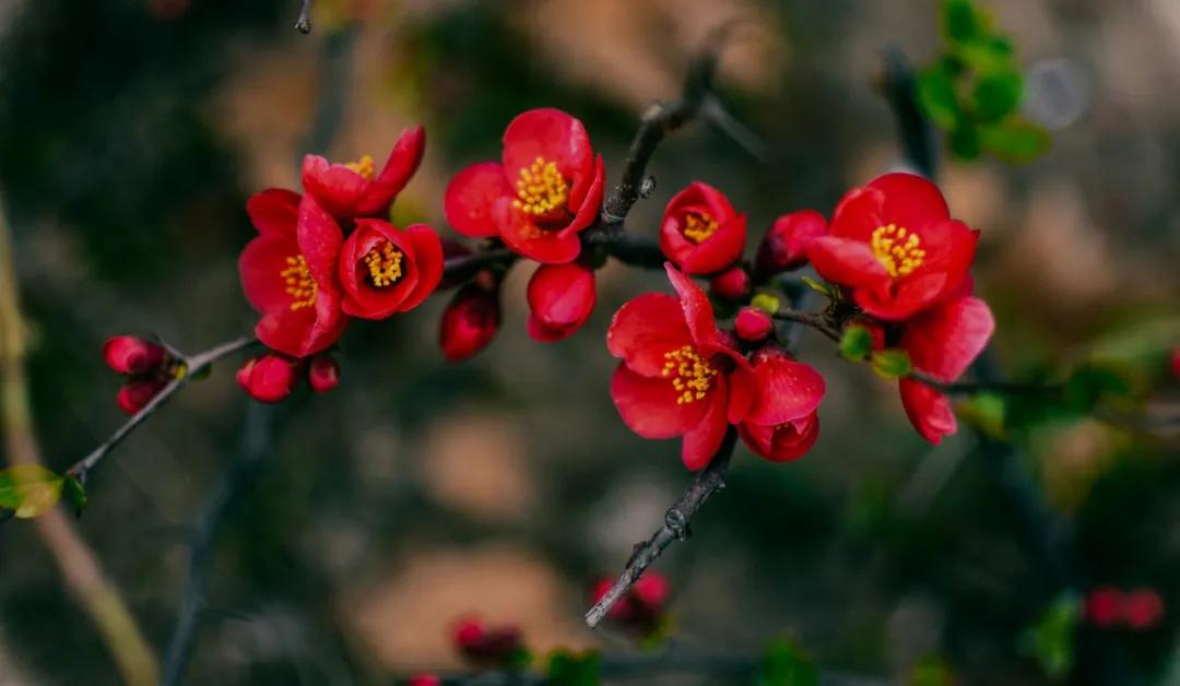 关于雨水的古诗有哪些（关于雨水的古诗四句） 第13张