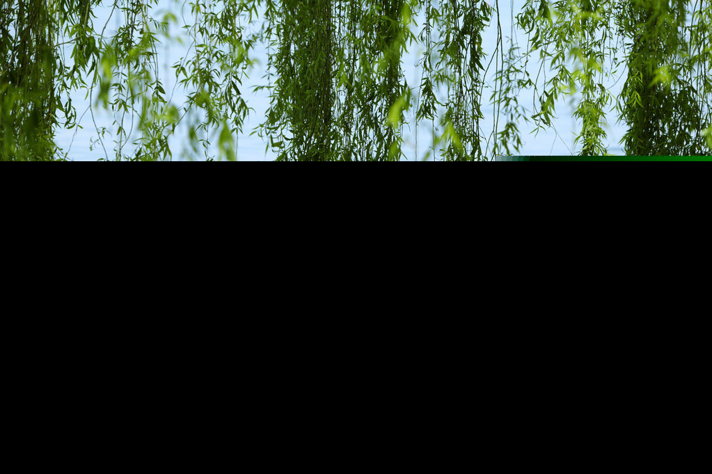 忆秦娥李白意境分析（忆秦娥李白赏析） 第3张