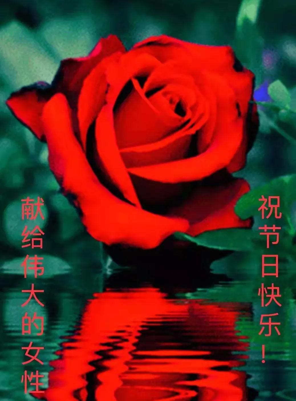 妇女节诗句精选简短（赞美巾帼女性的诗词） 第11张