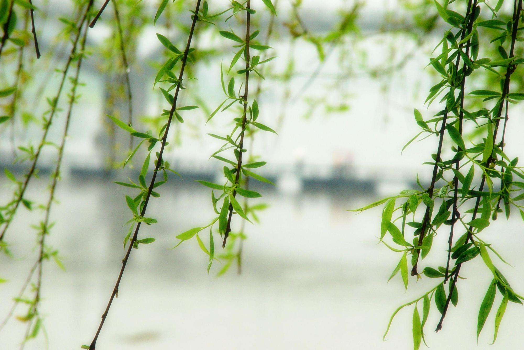 小学生优秀文章摘抄（优秀作文范文赏析） 第3张