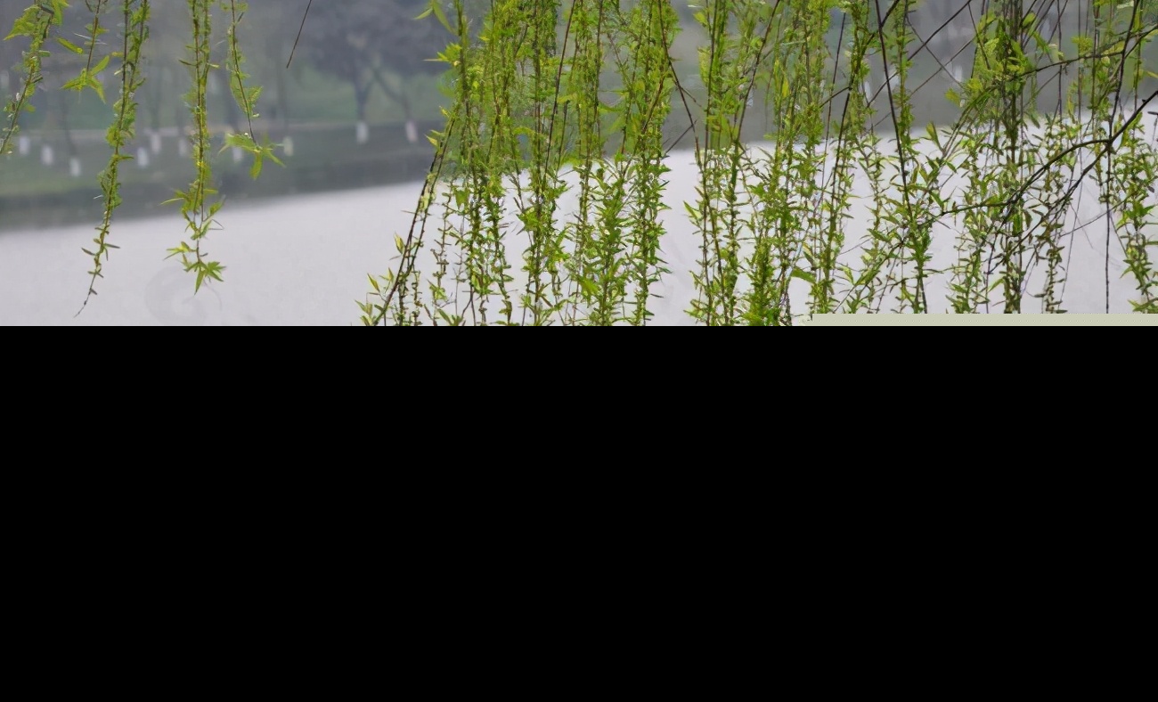 小学生优秀文章摘抄（优秀作文范文赏析） 第9张