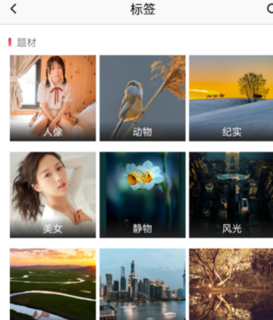 image-855 第5张