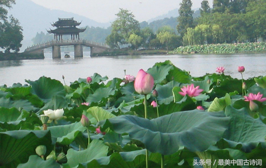 描写西湖的古诗有哪些（赞美西湖美景的诗句大全） 第3张