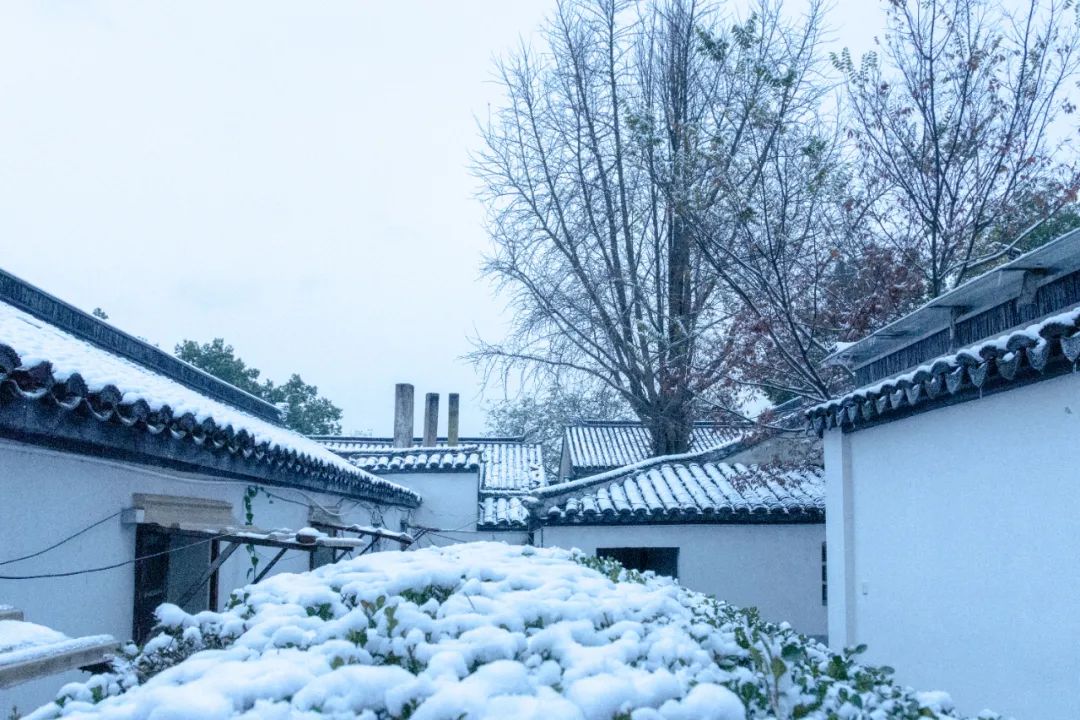 大雪诗句经典名句（下雪文案短句干净） 第1张