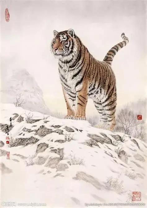 虎年五字祝福语有什么（虎年的吉祥语五字） 第5张