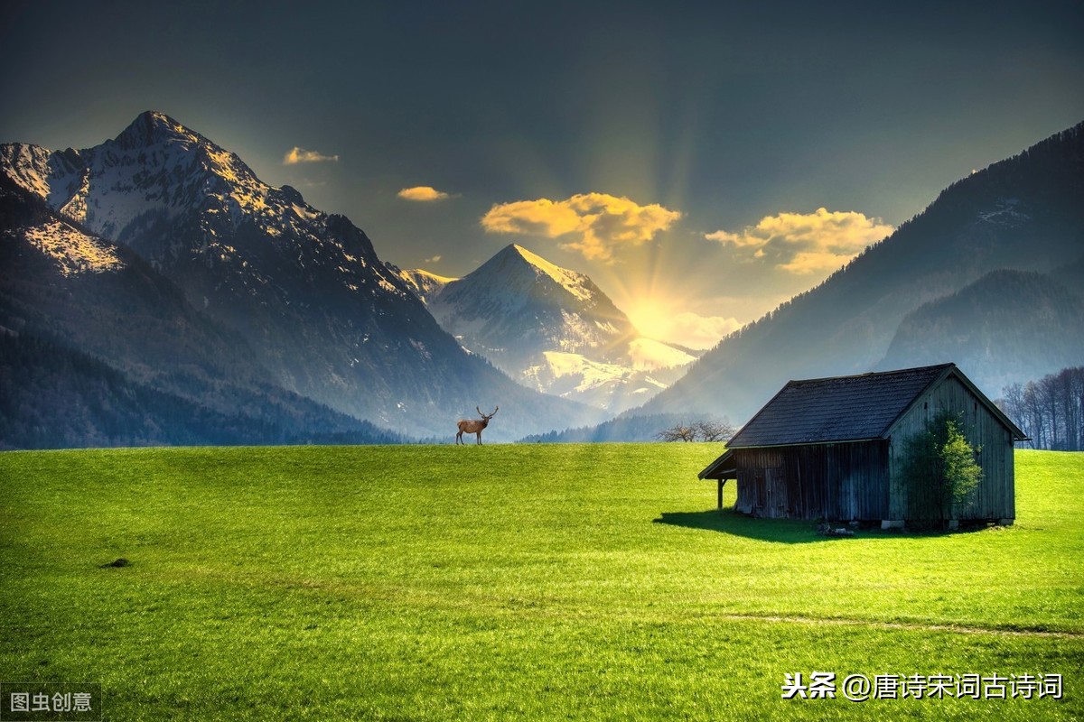 表达爱国的诗句有哪些（描写爱国的诗词欣赏） 第3张