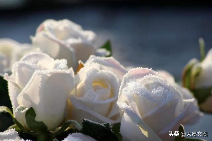 新年寄语简短励志（励志青春寄语奋斗） 第3张