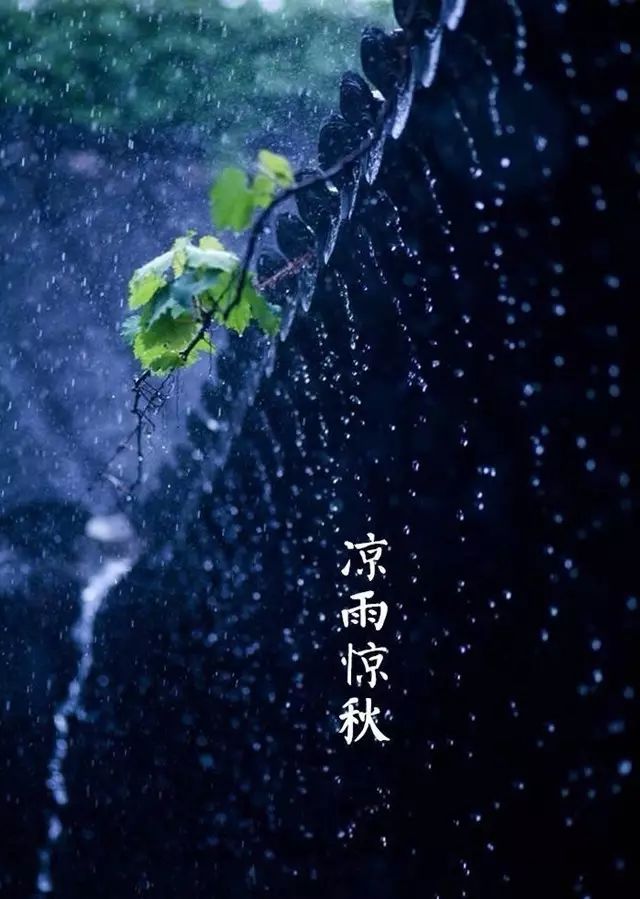 千古绝句最美宋词（宋词十首巅峰之作） 第5张