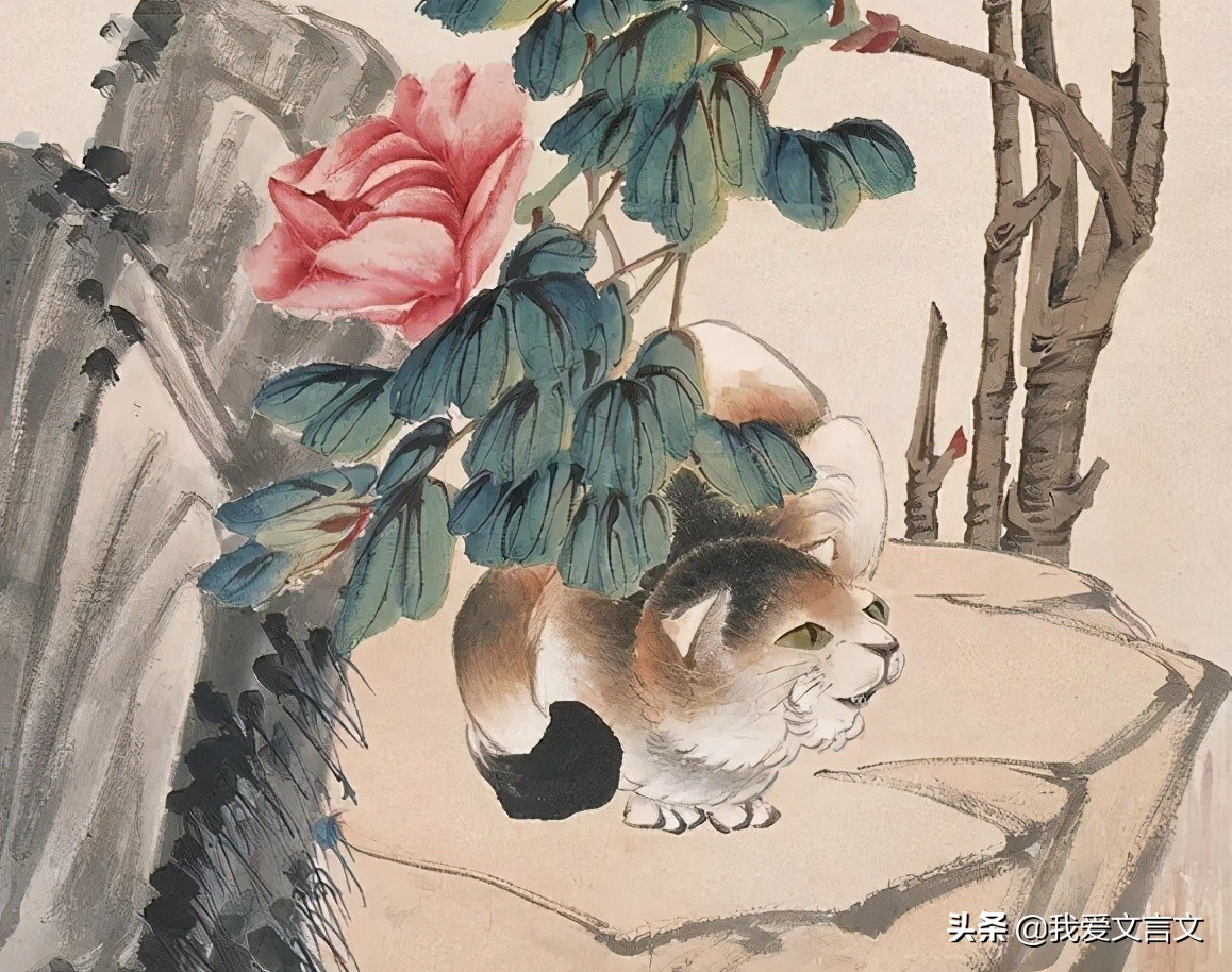 正午牡丹文言文翻译注释（正午牡丹文言文赏析） 第1张