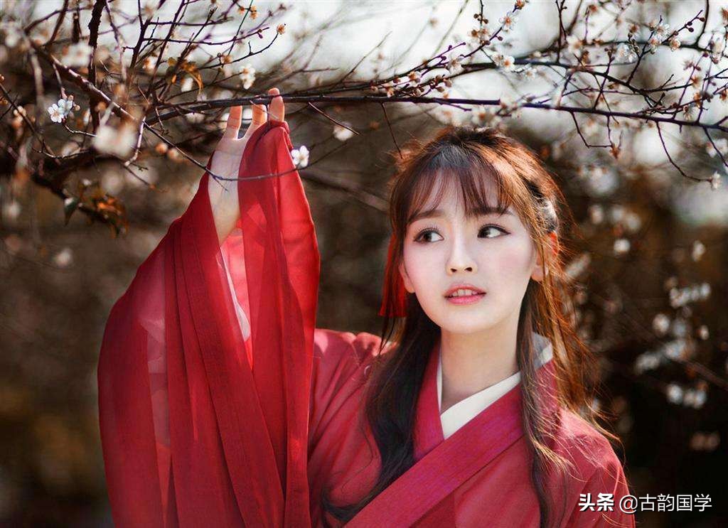 形容桃花的诗句唯美古诗（桃花意境唯美的古诗词 ） 第3张