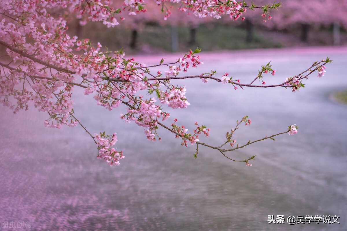 形容春天的诗句唯美（摘抄春天的优美句子） 第5张
