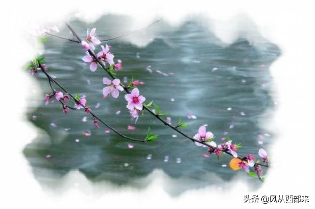 踏青诗句现代诗（二月登山踏青诗歌） 第1张