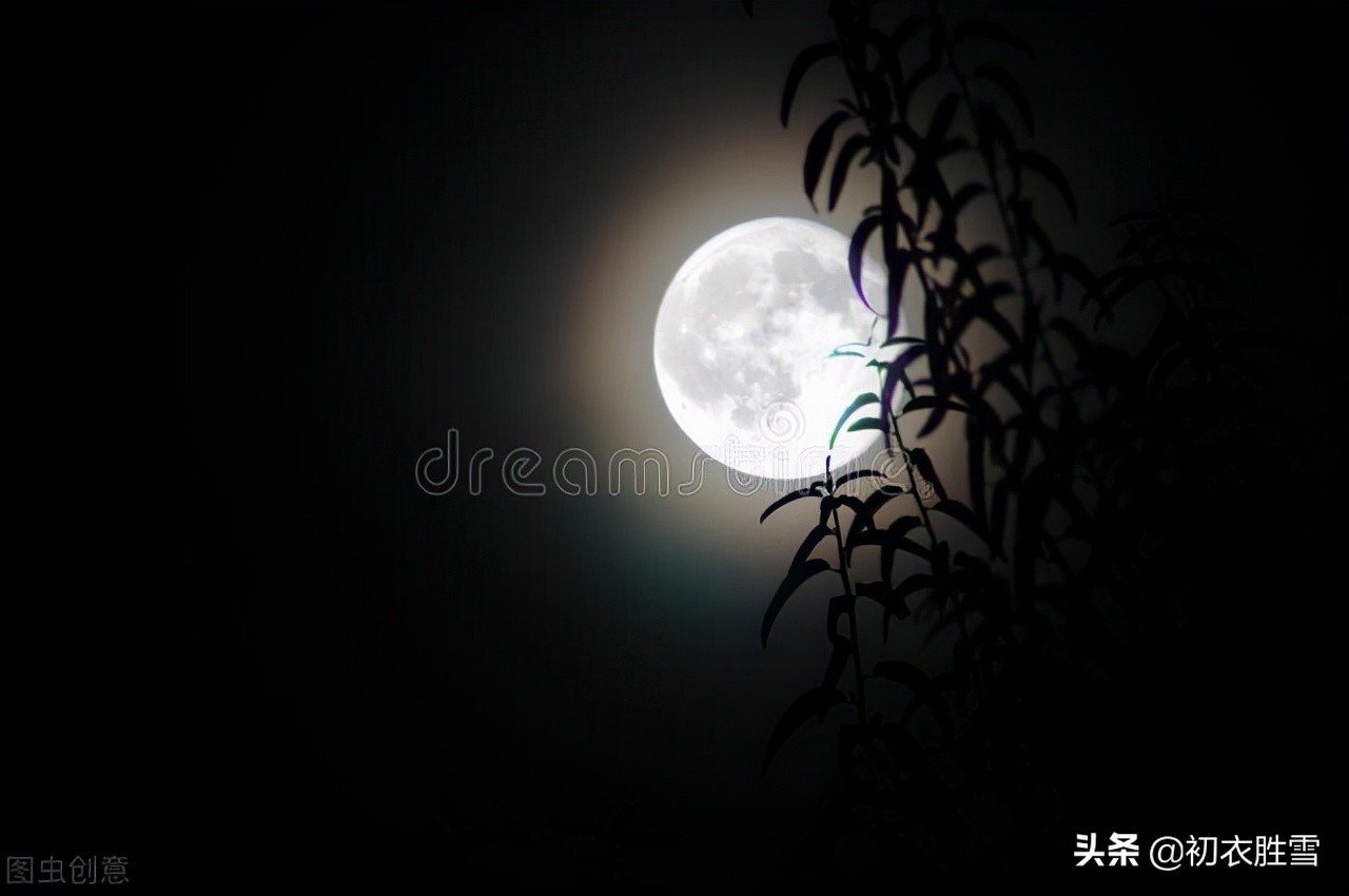 和月亮有关的诗句有哪些（与月亮有关的古诗诗句） 第5张