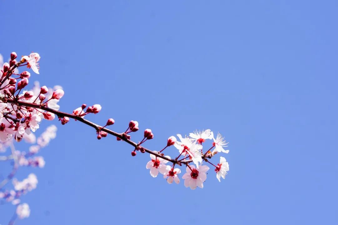 形容美景的诗句精选（赞叹大自然美景的诗句） 第11张