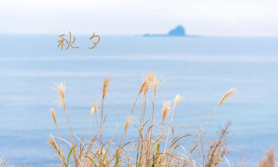 诗词名句积累大全（古诗绝美千古名句大全） 第1张