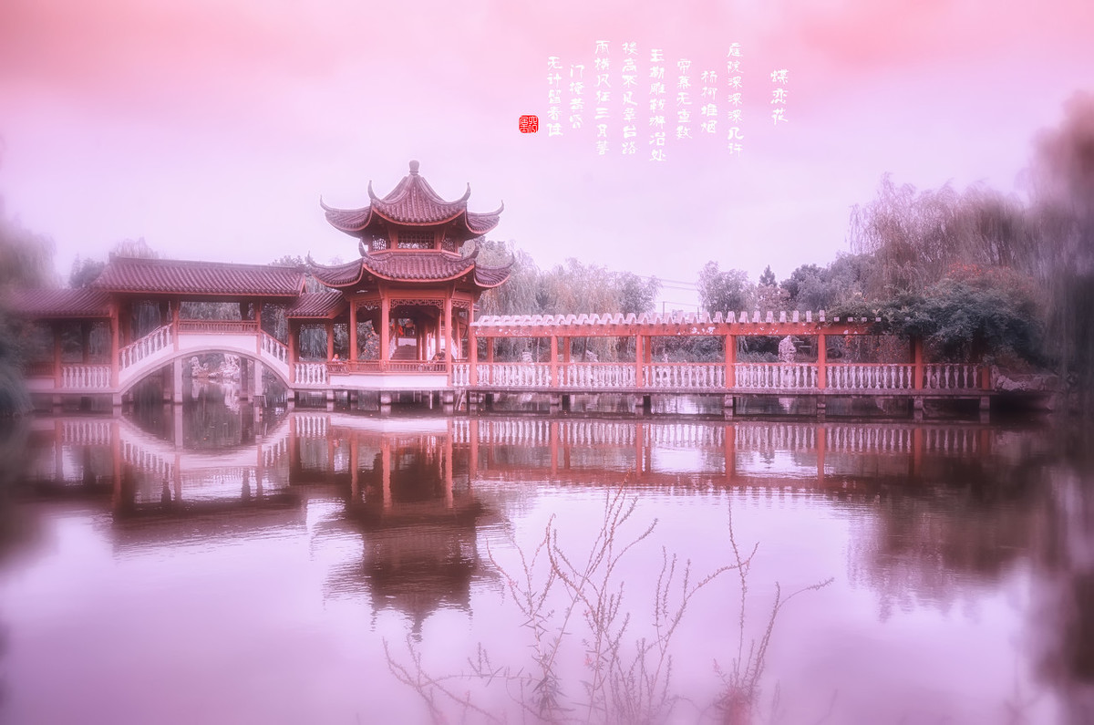 寻诗两绝句原文翻译（绝句古木阴中系短篷古诗） 第1张