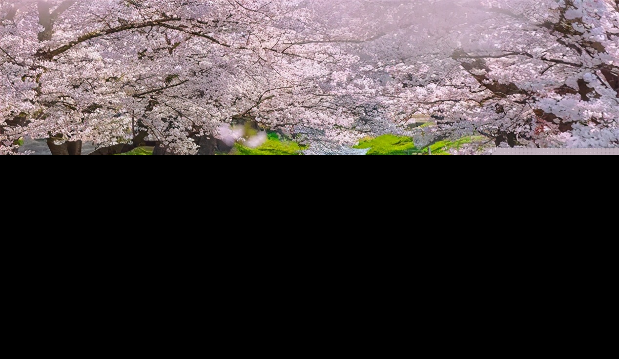寓意美好且大气的诗词（寄予美好希望的诗词） 第15张