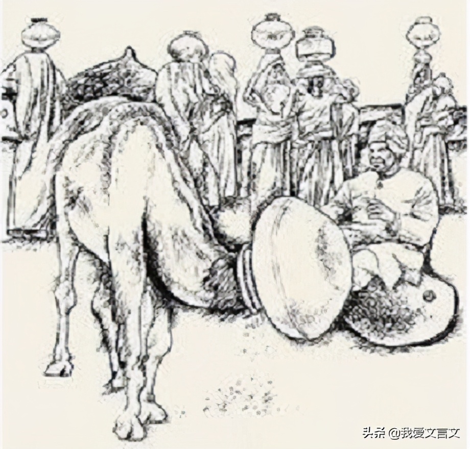 杀驼破瓮的文言文翻译及注释（杀驼破瓮的文言文道理） 第1张