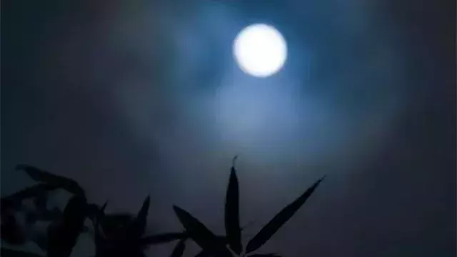 关于明月的诗句有哪些（赞美明月的诗句） 第9张