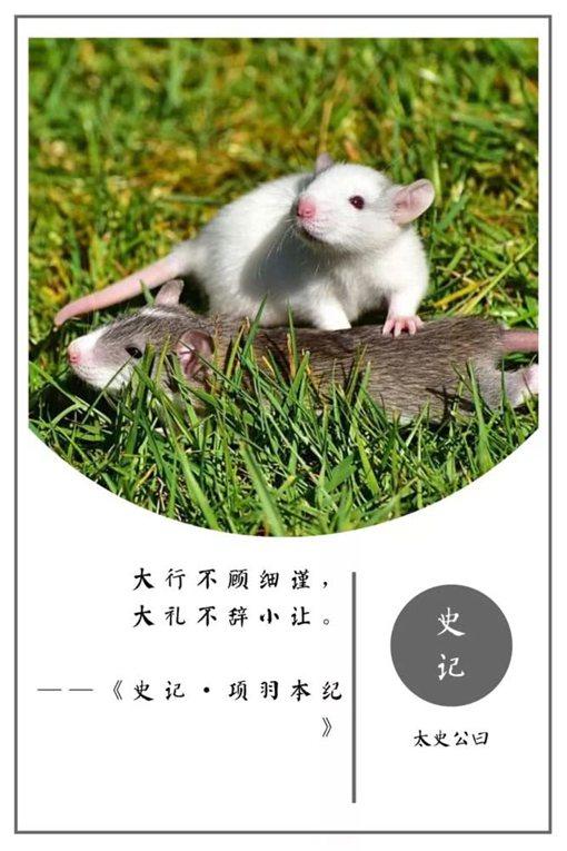 史记名句摘抄及翻译（史记名言警句及赏析） 第3张
