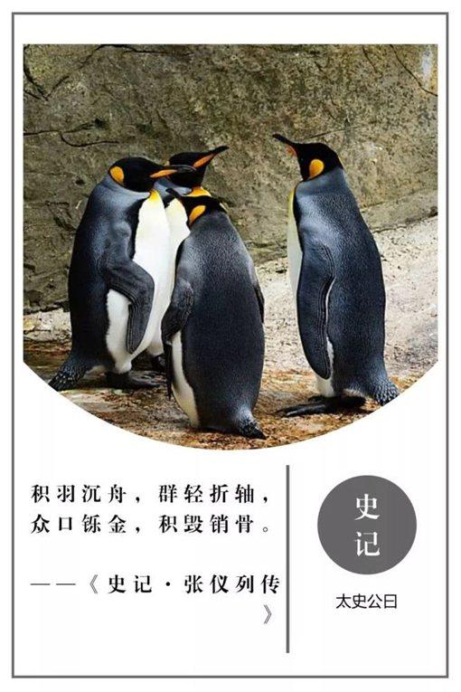 史记名句摘抄及翻译（史记名言警句及赏析） 第9张
