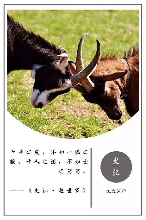 史记名句摘抄及翻译（史记名言警句及赏析） 第11张