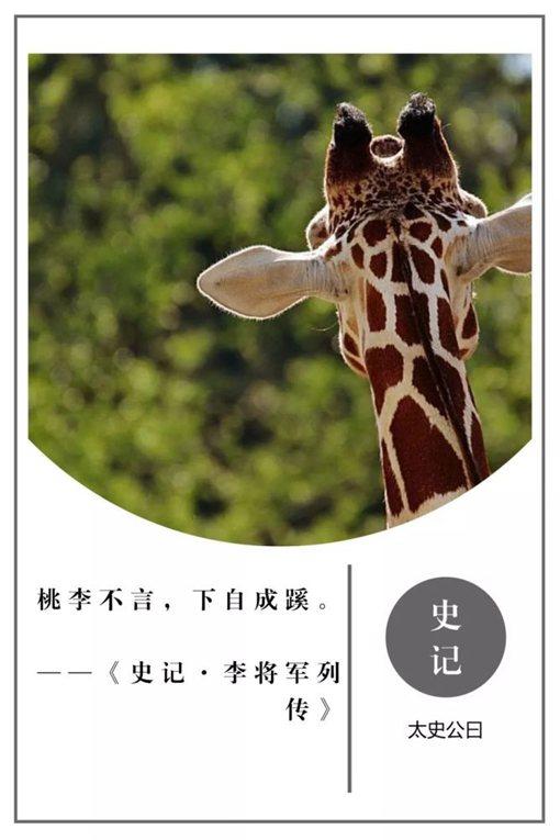 史记名句摘抄及翻译（史记名言警句及赏析） 第13张