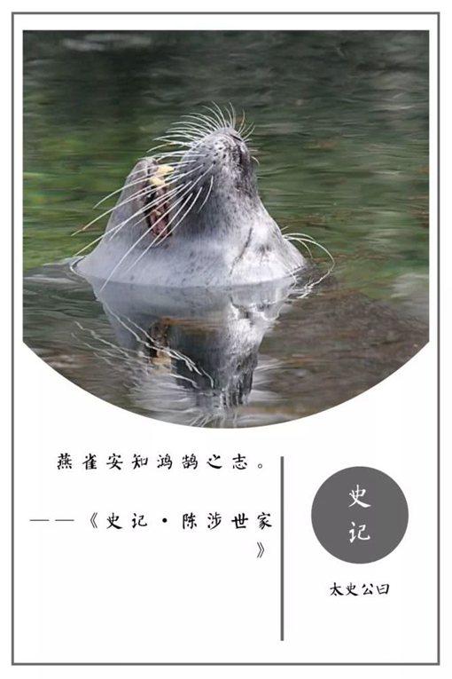 史记名句摘抄及翻译（史记名言警句及赏析） 第15张