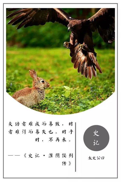 史记名句摘抄及翻译（史记名言警句及赏析） 第17张
