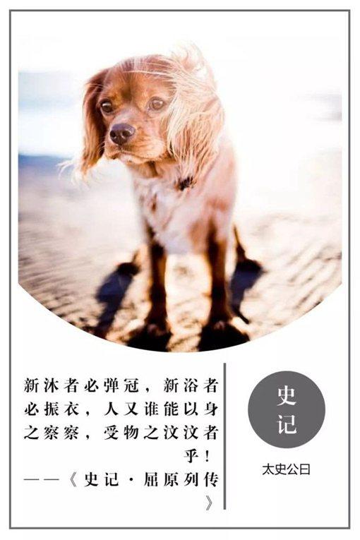 史记名句摘抄及翻译（史记名言警句及赏析） 第19张